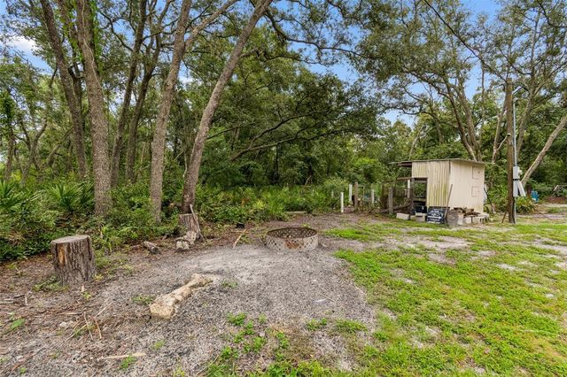 35314 GOETHALS STREET, Webster, FL 33597