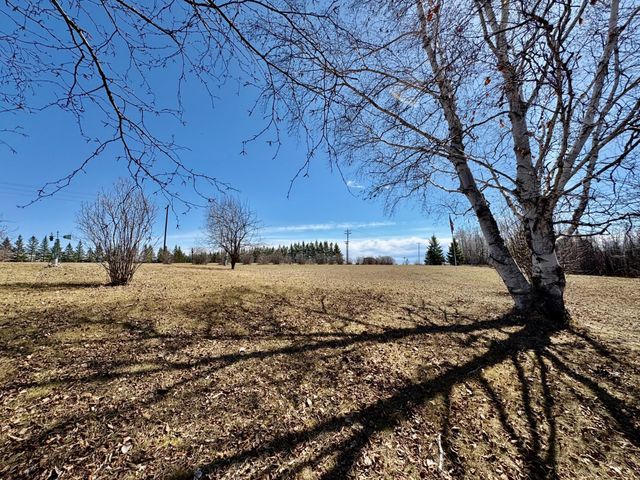 1398 4th Street NW, Baudette, MN 56623