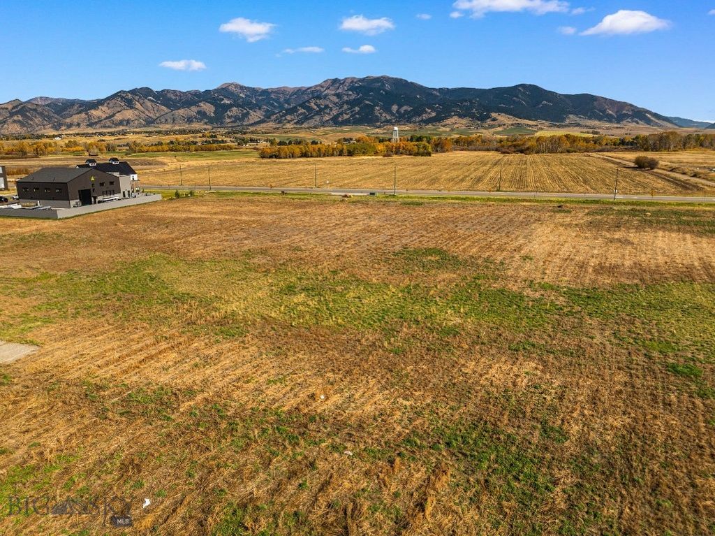 TBD Nelson Rd, Bozeman, MT 59718 photo 16