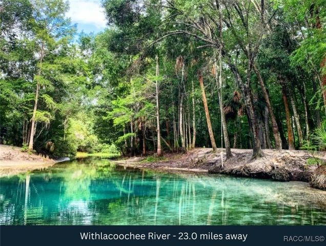 County ROAD 401, Lake Panasoffkee, FL 33538
