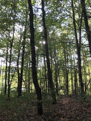 13035 Victory Woods Drive, Lowell, MI 49331