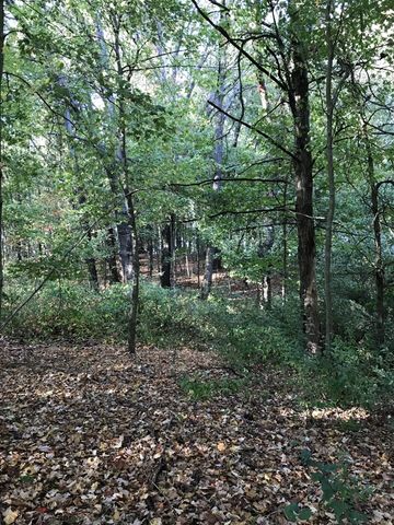 13035 Victory Woods Drive, Lowell, MI 49331