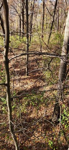 13035 Victory Woods Drive, Lowell, MI 49331