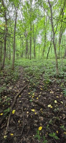 13035 Victory Woods Drive, Lowell, MI 49331