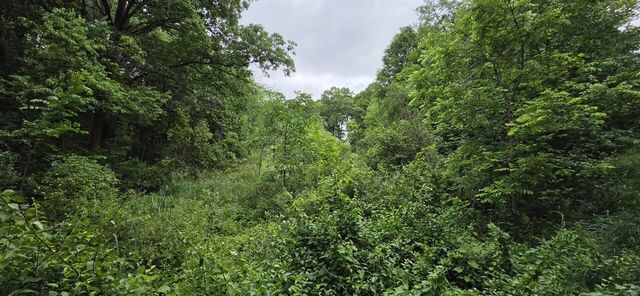 13035 Victory Woods Drive, Lowell, MI 49331