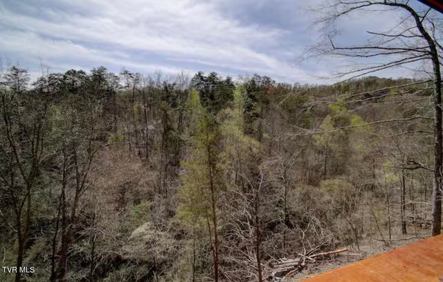 821 String Run Way, Pigeon Forge, TN 37863
