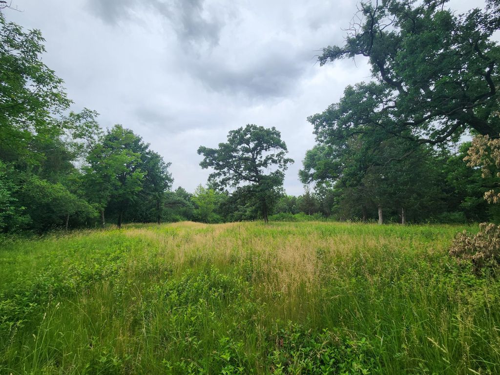 xxx Pearl Street, Prescott, WI 54021 — photo 4