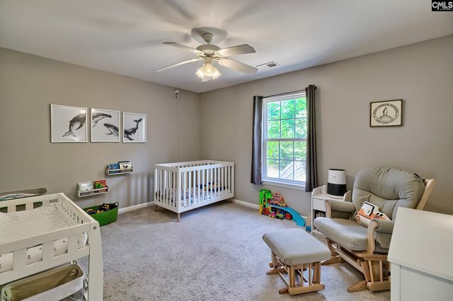 215 Eagle Pointe Drive, Chapin, SC 29036