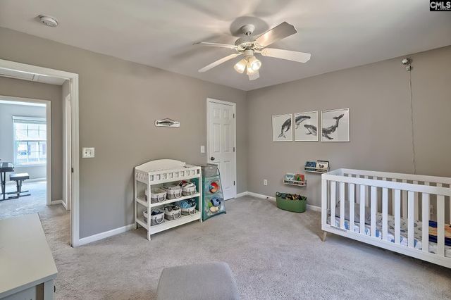 215 Eagle Pointe Drive, Chapin, SC 29036