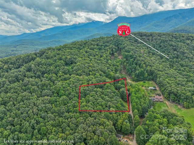 60 Persimmons Lane, Burnsville, NC 28714