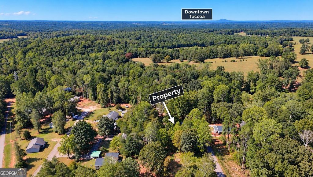 0 Apache Trail, Martin, GA 30557 — photo 5