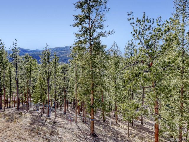 15 Gigi Lane, Evergreen, CO 80439