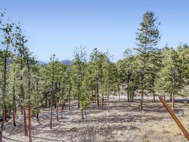 15 Gigi Lane, Evergreen, CO 80439