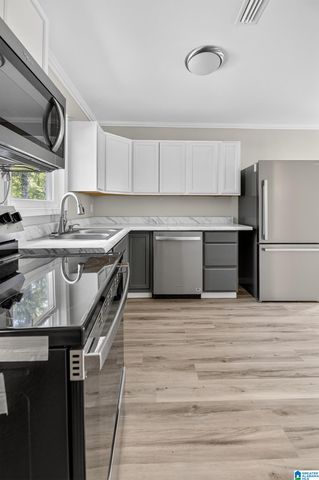 668 JONES CHAPEL ROAD, Piedmont, AL 36272