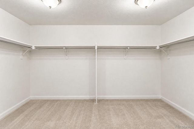 16195 W 84th Lane, Arvada, CO 80007