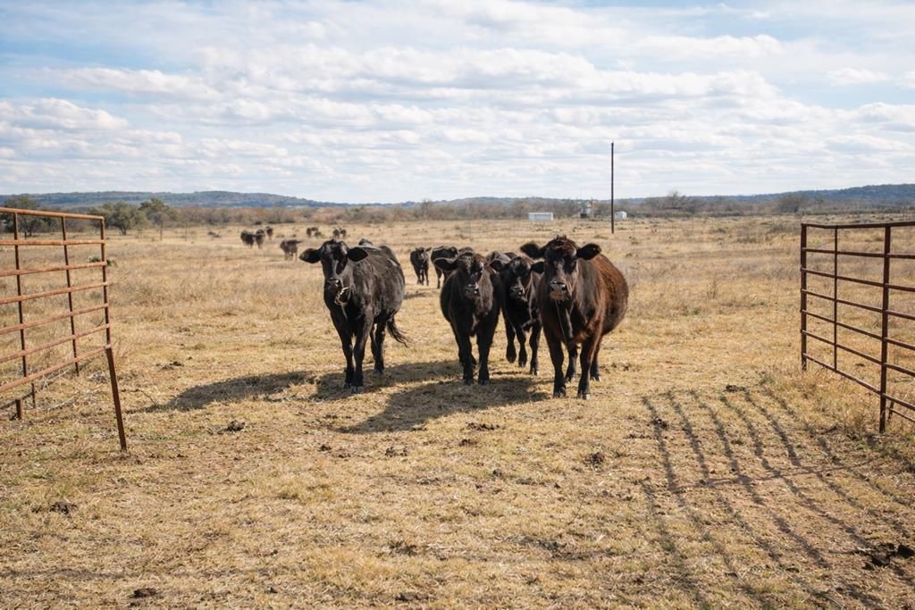 Image 2 of property listing at Address unavailable.