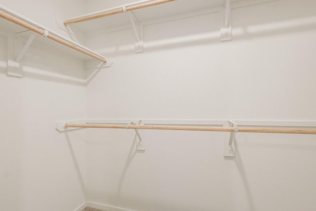 303 Bush Meadow Lane, Magnolia, TX 77354