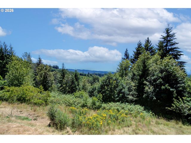 25313 Ne 227TH St, Battle Ground, WA 98604