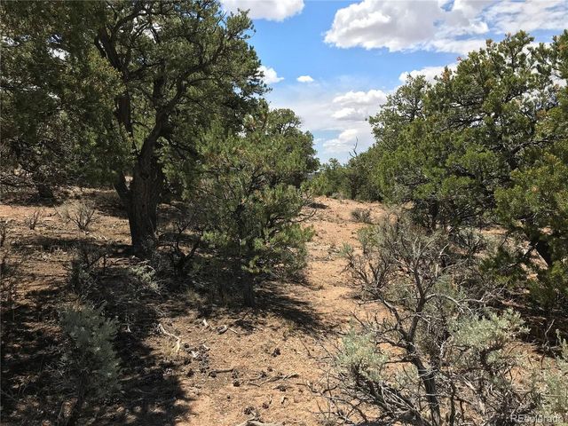 1666 Slegers Cir, Fort Garland, CO 81133