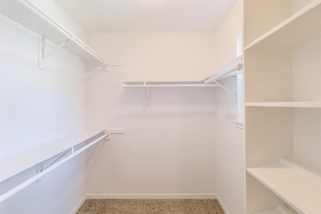 14141 Misty Meadow Lane, Houston, TX 77079