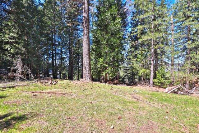 7031 Pioneer Dr, Grizzly Flats, CA 95636