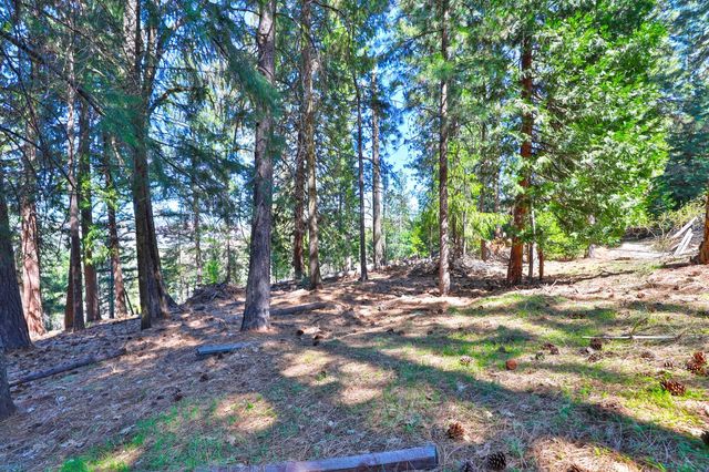 7031 Pioneer Dr, Grizzly Flats, CA 95636