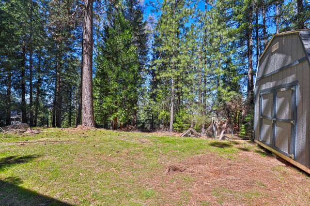 7031 Pioneer Dr, Grizzly Flats, CA 95636