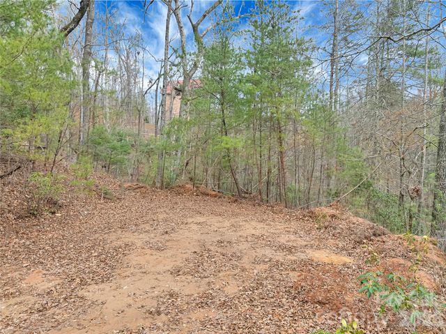 TBD Deep Woods Lane 102, Saluda, NC 28773