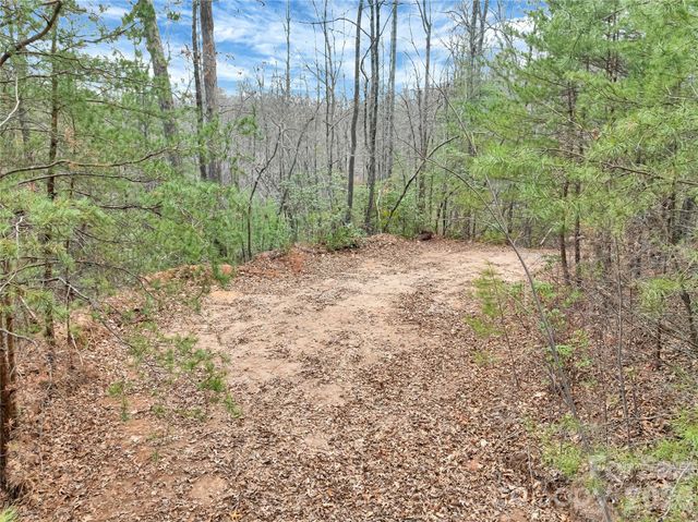TBD Deep Woods Lane 102, Saluda, NC 28773