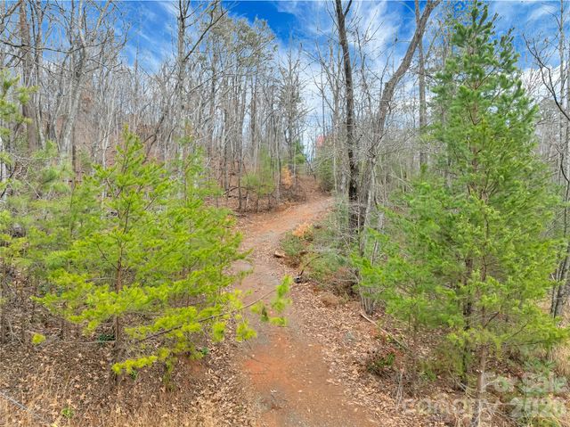 TBD Deep Woods Lane 102, Saluda, NC 28773