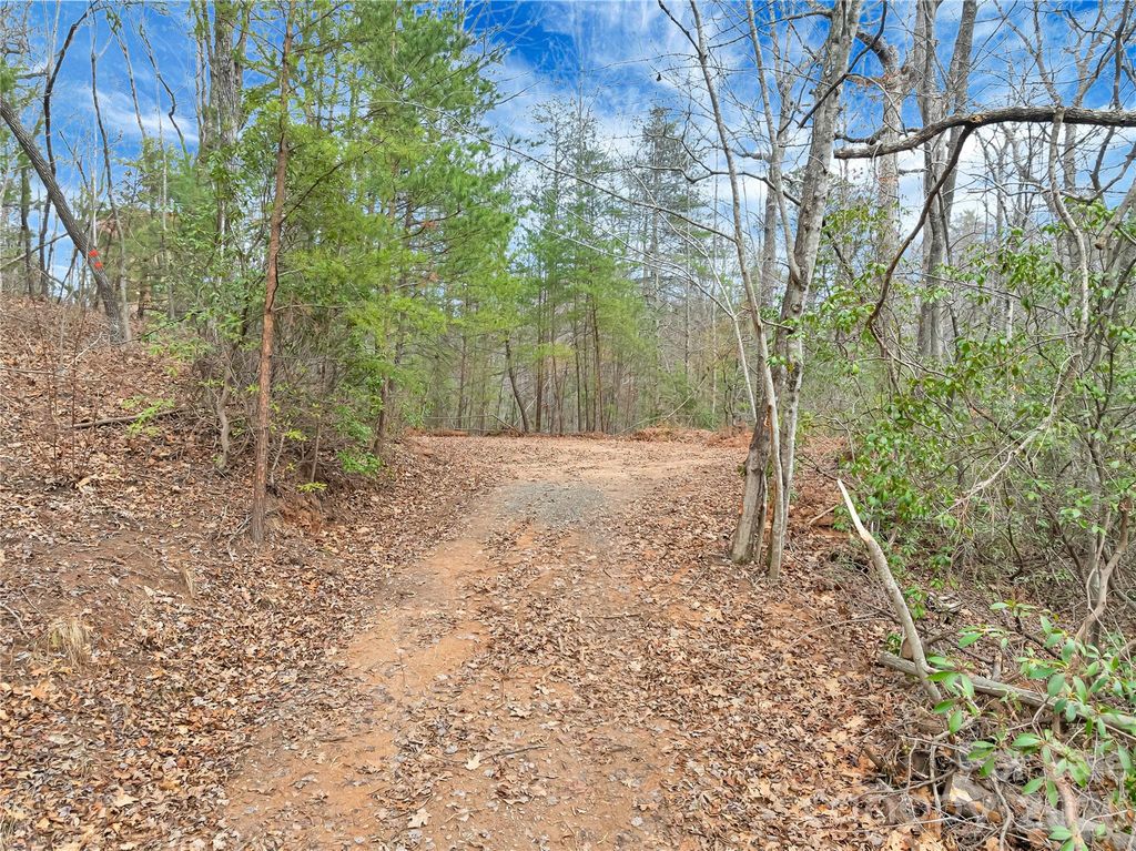 TBD Deep Woods Lane 102, Saluda, NC 28773