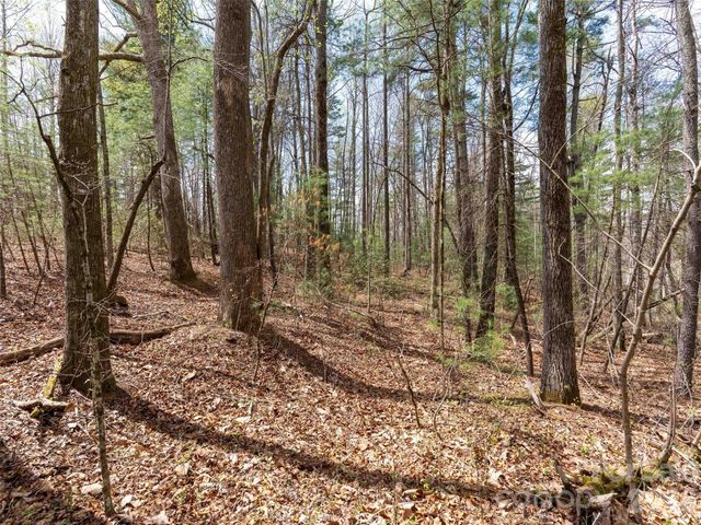 00 E Hilltop Drive 13B, Saluda, NC 28773