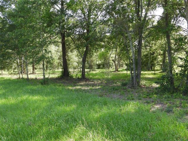 18855 Bethel Rd, Richards, TX 77873