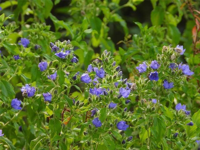 18855 Bethel Rd, Richards, TX 77873