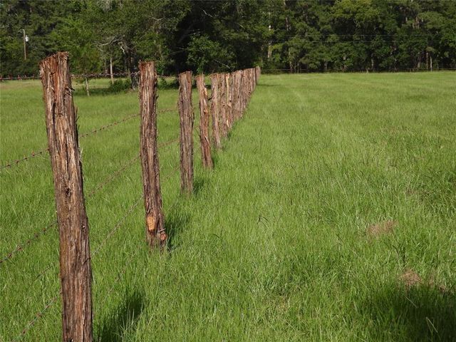 18855 Bethel Rd, Richards, TX 77873