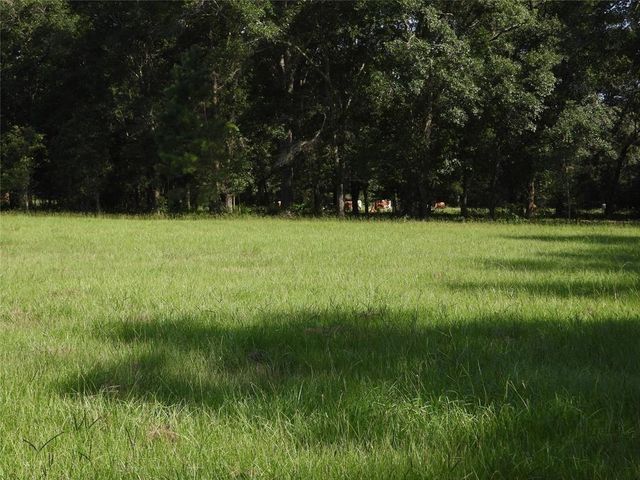 18855 Bethel Rd, Richards, TX 77873