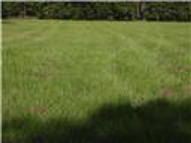 18855 Bethel Rd, Richards, TX 77873