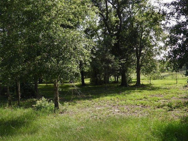 18855 Bethel Rd, Richards, TX 77873