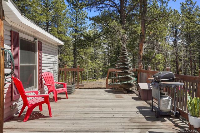 2450 Pathfinder Road, Florissant, CO 80816