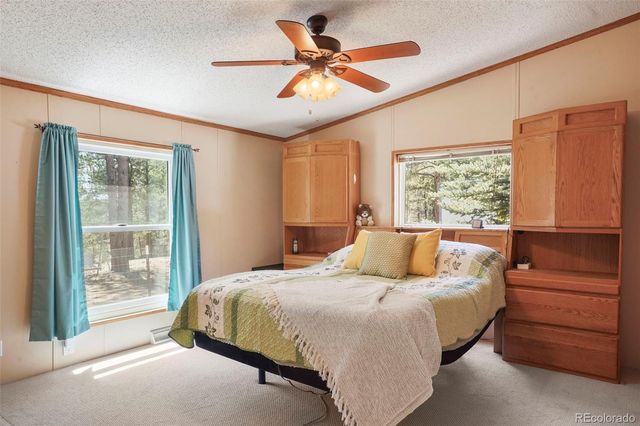 2450 Pathfinder Road, Florissant, CO 80816