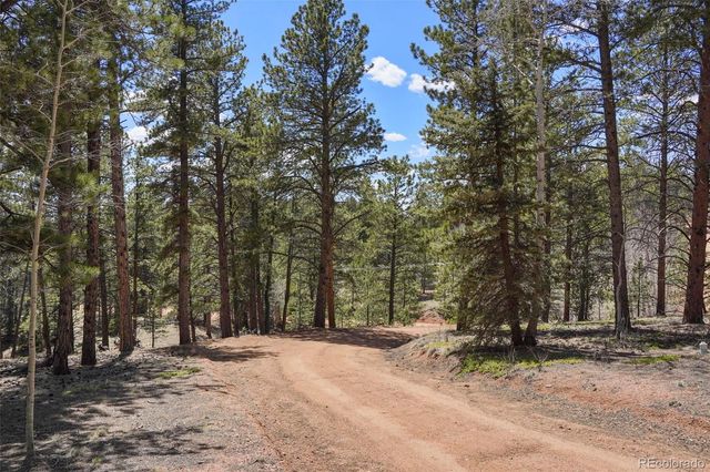 2450 Pathfinder Road, Florissant, CO 80816