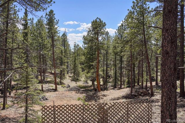 2450 Pathfinder Road, Florissant, CO 80816