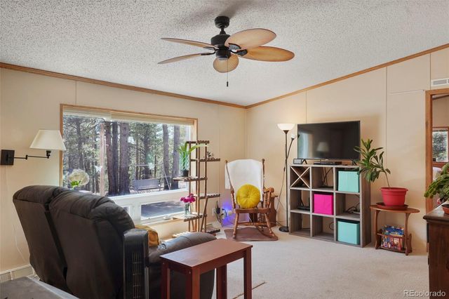 2450 Pathfinder Road, Florissant, CO 80816