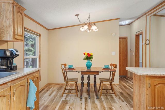 2450 Pathfinder Road, Florissant, CO 80816