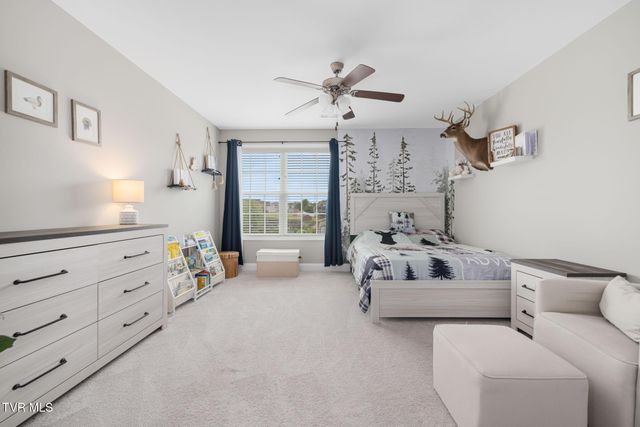 745 Ashley Meadows, Jonesborough, TN 37659