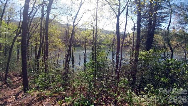 Lot 5 Dars Lane 5, Tuckasegee, NC 28783