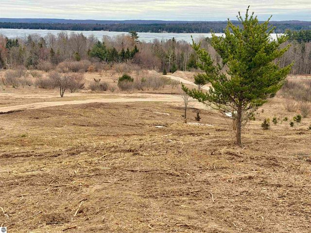 9088-B Aurora Vista Trail, Williamsburg, MI 49690