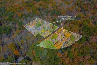 0 Willard Mountain Road, Ellijay, GA 30513