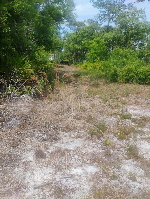 BROOKSIDE CIRCLE, Mount Dora, FL 32757