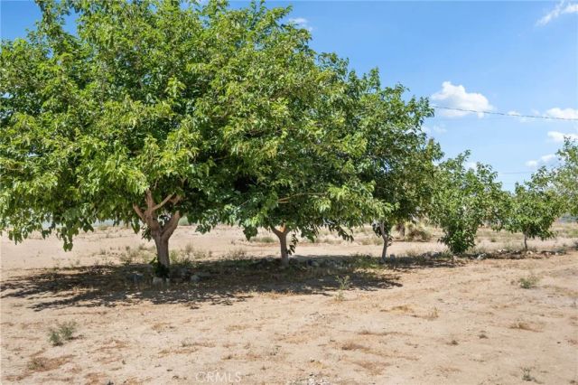 10925 Buttonwood, Phelan, CA 92371
